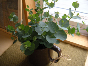 DSCN1504-2.jpg