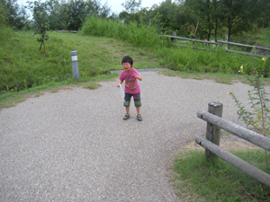 DSCN2509.jpg