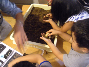DSCN2512.jpg