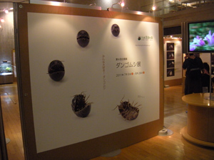DSCN2516.jpg