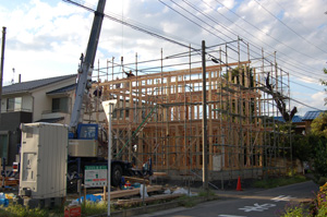 DSC_4000.jpg