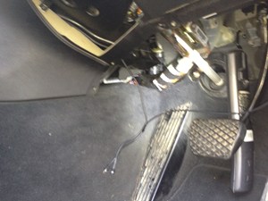 IMG_2593.jpg