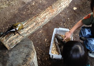 IMG_3058_R.jpg