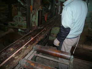 P1010767-2.jpg