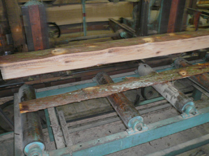 P1010769-2.jpg