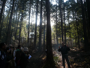P1020120-2.jpg