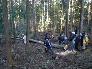 P1020122-2.jpg