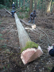 P1020124-2.jpg