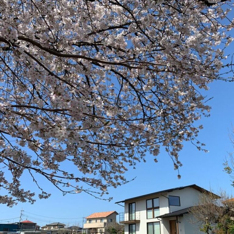 満開