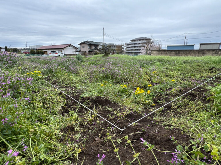 地縄張り
